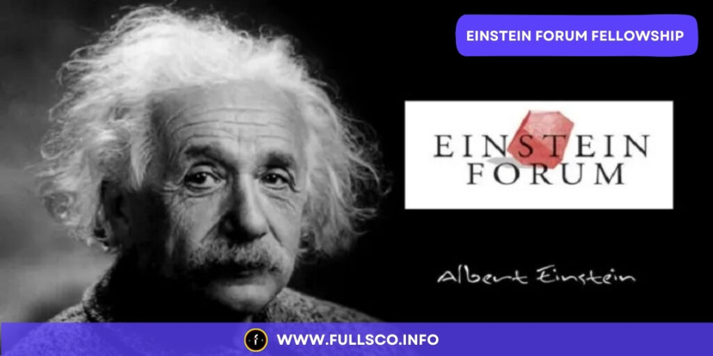 EINSTEIN FELLOWSHIP