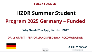 HZDR Summer Student Program