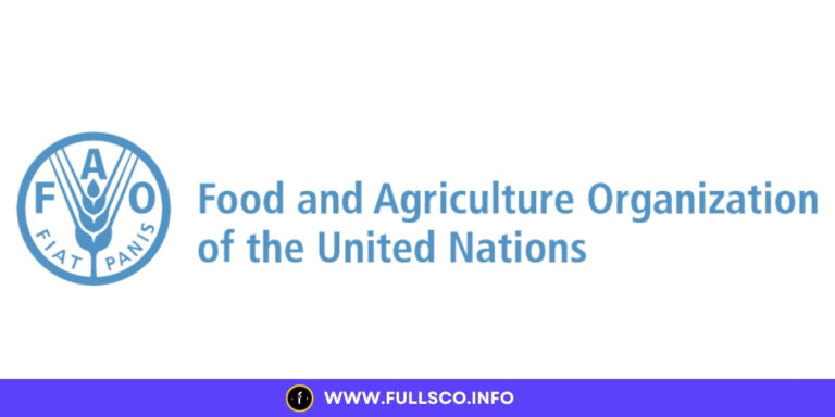 FAO Internship Program 2025 Earn 700 Month 