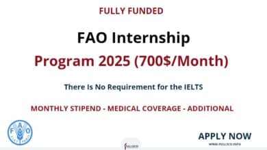 FAO Internship Program