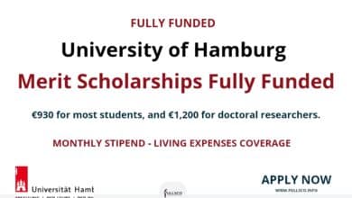 University of Hamburg scholarships