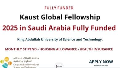 KAUST Global Fellowship