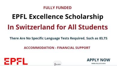 EPFL Excellence Scholarship 2024