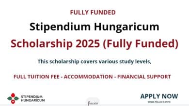 Stipendium Hungaricum Scholarship