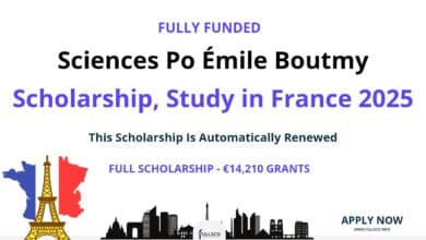 Emile Boutmy Scholarship