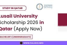 Lusail University Scholarship 2026 in Qatar (Apply Now)
