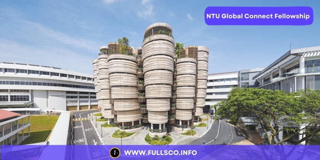 NTU Global Connect Fellowship