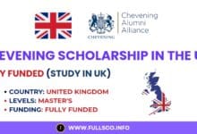 Image about the Chevening Scholarship application in the UK.