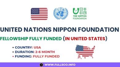 United Nations Nippon Foundation Fellowship Details Image