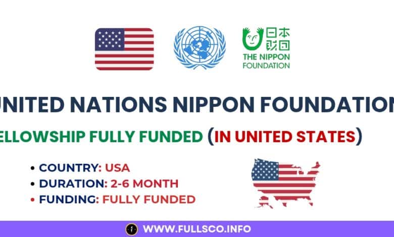 United Nations Nippon Foundation Fellowship Details Image