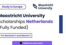 Image showing Maastricht University Scholarships Details