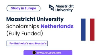 Image showing Maastricht University Scholarships Details